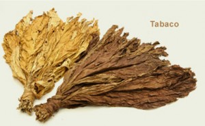 taboco