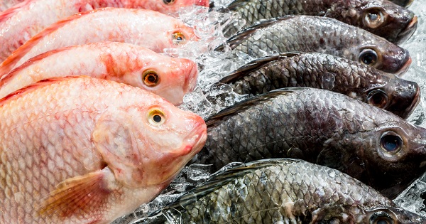 5 tips para asegurarte de comprar el pescado más fresco 